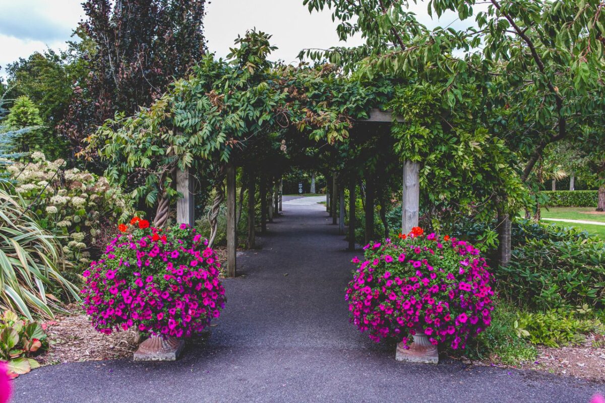 Offres Charming garden path in County Cork, Ireland, framed by vibrant pink floral display.